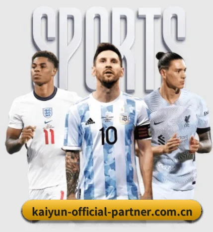 kaiyun-official-partner.com.cn APP